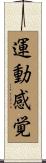 運動感覚 Scroll