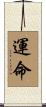 Destiny / Fate Scroll