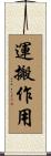 運搬作用 Scroll