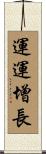運運增長 Scroll