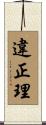違正理 Scroll
