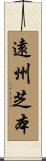 遠州芝本 Scroll