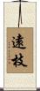 遠枝 Scroll