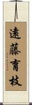 遠藤育枝 Scroll