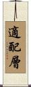 適配層 Scroll