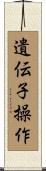 遺伝子操作 Scroll