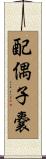 配偶子嚢 Scroll