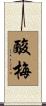 酸梅 Scroll