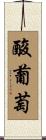 酸葡萄 Scroll
