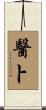 醫卜 Scroll