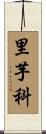 里芋科 Scroll