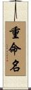 重命名 Scroll