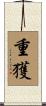 重獲 Scroll