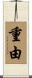 重由 Scroll