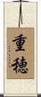 重穂 Scroll