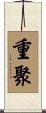 重聚 Scroll