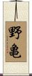 野亀 Scroll