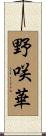野咲華 Scroll