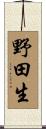 野田生 Scroll
