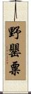 野罌粟 Scroll
