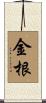 金根 Scroll
