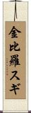 金比羅スギ Scroll
