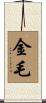 金毛 Scroll