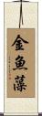 金魚藻 Scroll