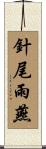 針尾雨燕 Scroll