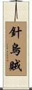 針烏賊 Scroll