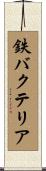 鉄バクテリア Scroll