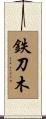 鉄刀木 Scroll