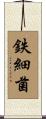 鉄細菌 Scroll