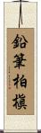 鉛筆柏槇 Scroll