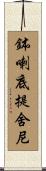 鉢喇底提舍尼 Scroll