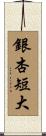 銀杏短大 Scroll