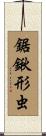 鋸鍬形虫 Scroll