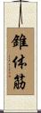 錐体筋 Scroll
