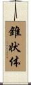 錐状体 Scroll
