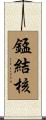 錳結核 Scroll