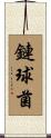 鏈球菌 Scroll
