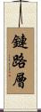 鏈路層 Scroll