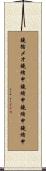 鐃循メオ鐃緒申鐃緒申鐃緒申鐃緒申 Scroll
