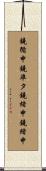鐃循￥申鐃準タ鐃緒申鐃緒申 Scroll