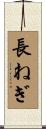長ねぎ Scroll