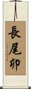 長尾卯 Scroll