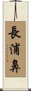 長浦鼻 Scroll
