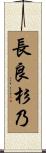 長良杉乃 Scroll