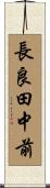 長良田中前 Scroll