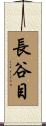 長谷目 Scroll